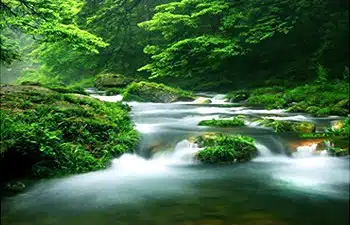 Zhangjiajie Golden-Whip-Brook