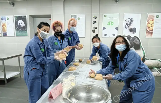 Chengdu Panda Volunteer Progarm