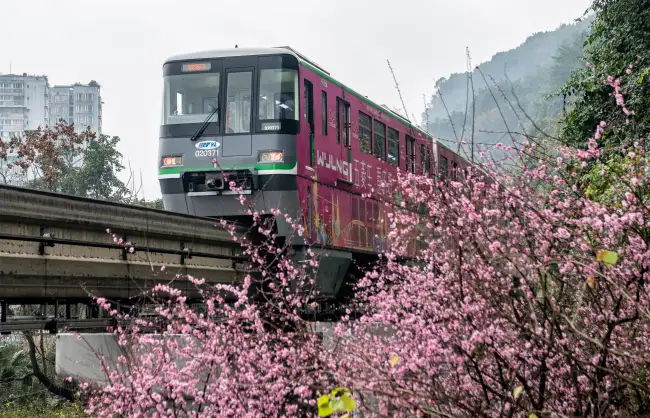 chongqing in spring