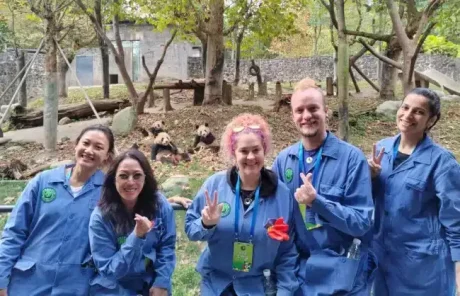 3 Days Chengdu Family Tour with Panda Volunteering & Cooking Class