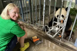 Best China tours pacakages with panda keeper trip