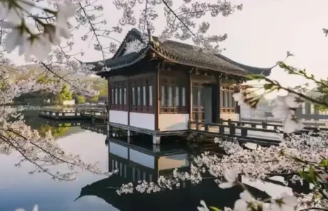 Spring blooms of Hangzhou West Lake