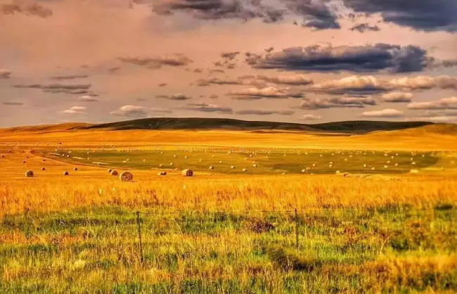 Hulunbuir Grassland in Autumn
