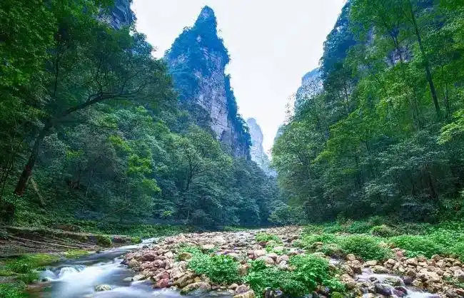 Zhangjiajie Suoxi Valley